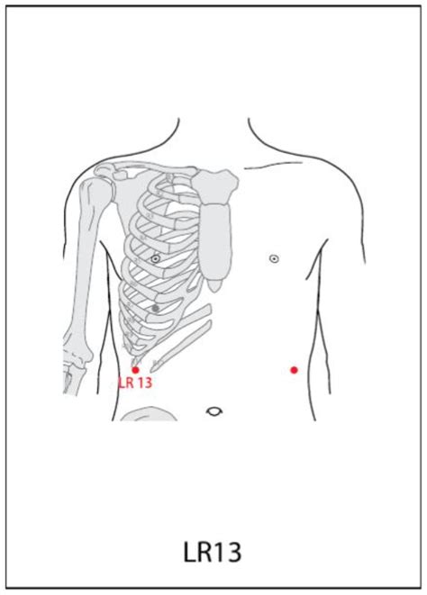 liv 13 acupuncture point